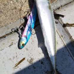 ぶらサバ祭！！