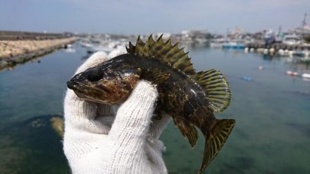 暑さの中での穴釣り
