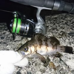 そろそろ厳しいか