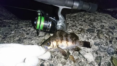 そろそろ厳しいか