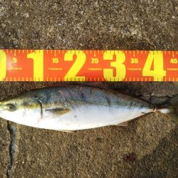 朝から気分爽快！