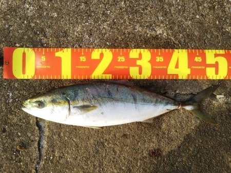 朝から気分爽快！