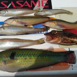 東二見西水路調査