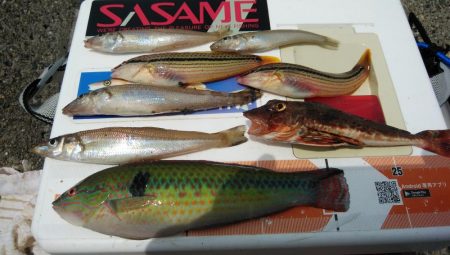 東二見西水路調査