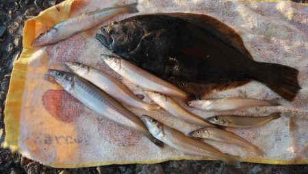 １６時から播磨新島釣行しました