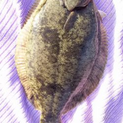 昼間っからのキス狙い。