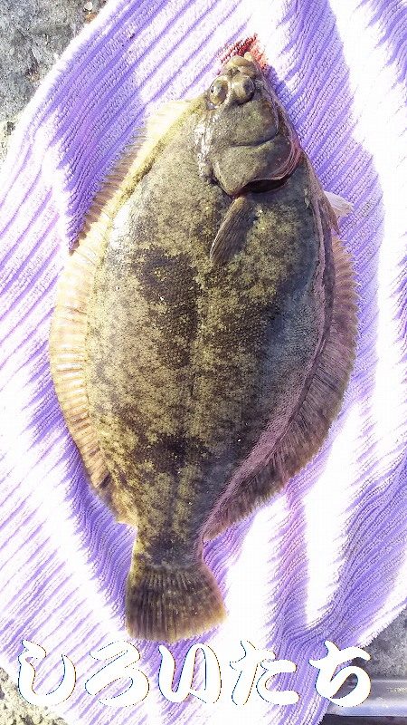 昼間っからのキス狙い。