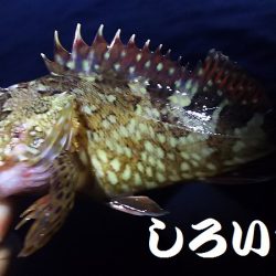 ガシリングになってしもたぁ～。