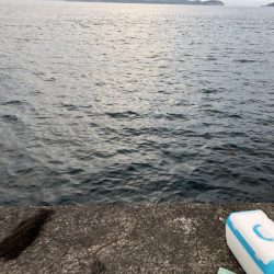 ぼちぼち当たりあり。