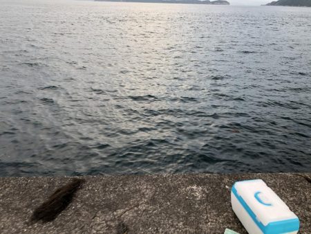 ぼちぼち当たりあり。