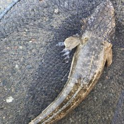 大好きなホームサーフで