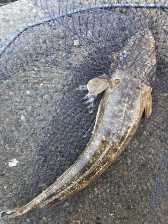 大好きなホームサーフで