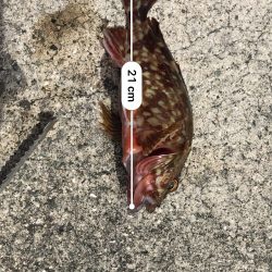 穴釣りしか釣れない