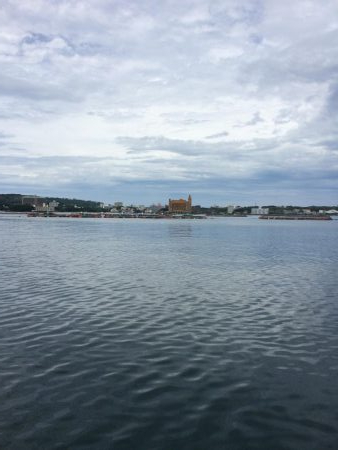 カタタのイカダ