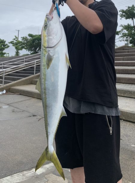 雨の神戸空港でブリ！