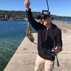 エギングタックル ジグヘッド&ワームで