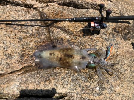 やっと春がきた！