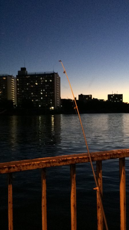 淀川のウナギ釣りパート9