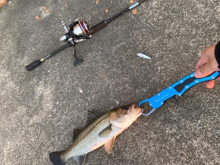 ラスト１投で...