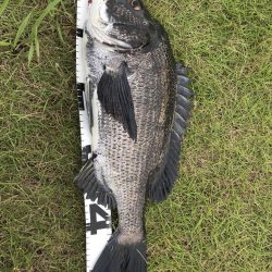 イチノ兄弟、釣果！