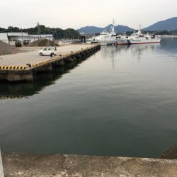 ツバス13匹、アジ10匹