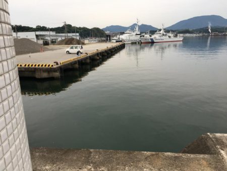 ツバス13匹、アジ10匹