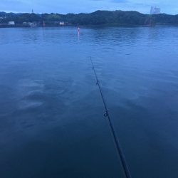 アジ7匹、コサバ25匹