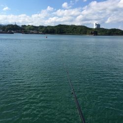 アジ、ツバス、チャリコ、キス、コサバ