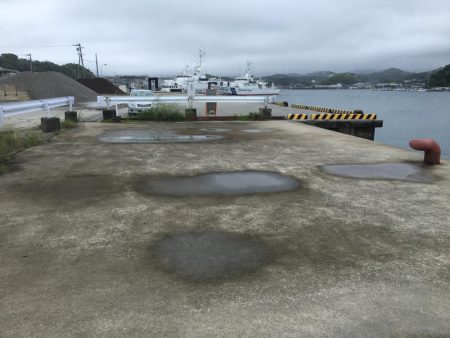 アジ、ツバス、コサバ