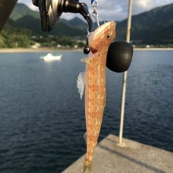 時化の日は無理しちゃ駄目　