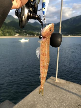 時化の日は無理しちゃ駄目　