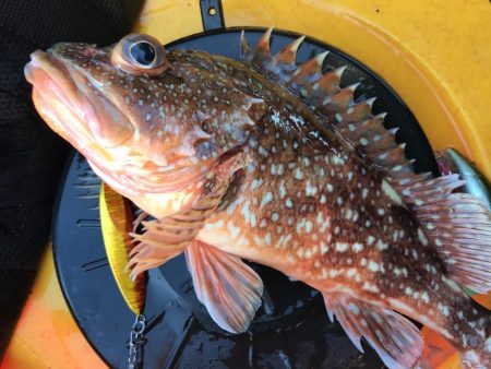 自己ベストの日