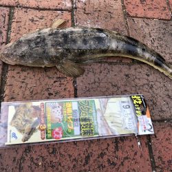 福間海浜公園に釣行