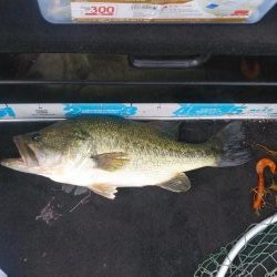 ひさびさの琵琶湖