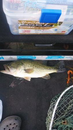 ひさびさの琵琶湖