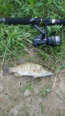 初スモールマウス！