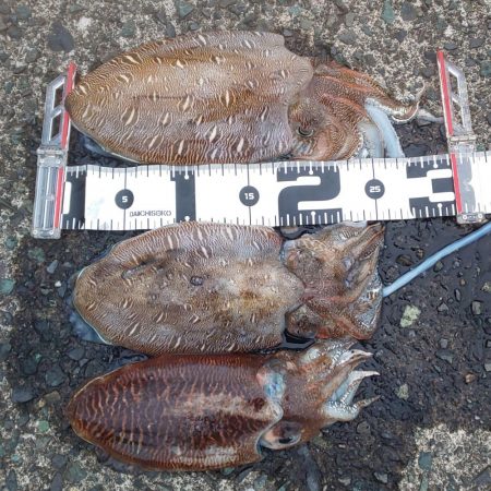 ソーシャルディスタンスを守って