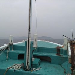 ボチボチやな！