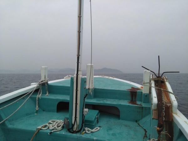 ボチボチやな！