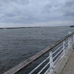 短時間の釣り 鯖サバ好調 ジグサビキ