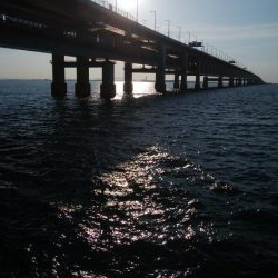 アジングとさばんぐ