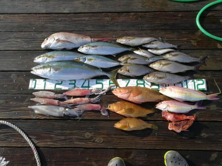 SLJで五目釣り！！