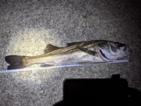 久しぶりの釣行!