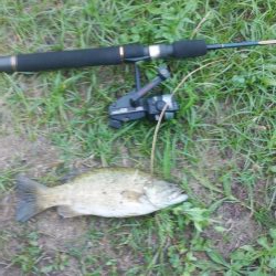 スモールマウスバスプチラシュ