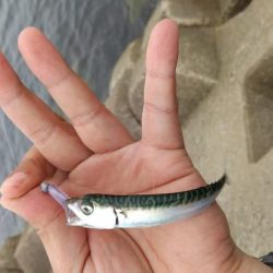 デイメバリングするも