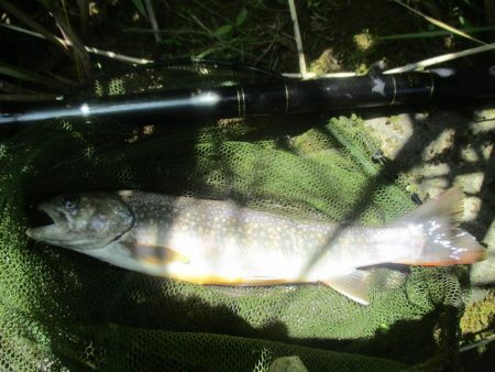 大雨後の渓谷にて