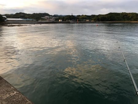 ツバス3匹、アジ5匹、コサバ300匹