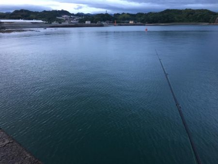 アジ9匹、ツバス5匹、コサバ6匹、キス1匹