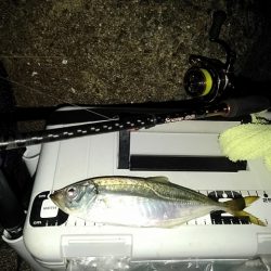 フロートゲーム