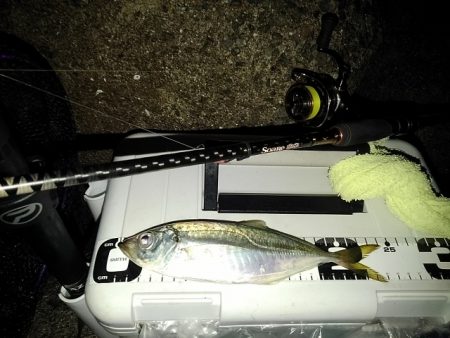 フロートゲーム